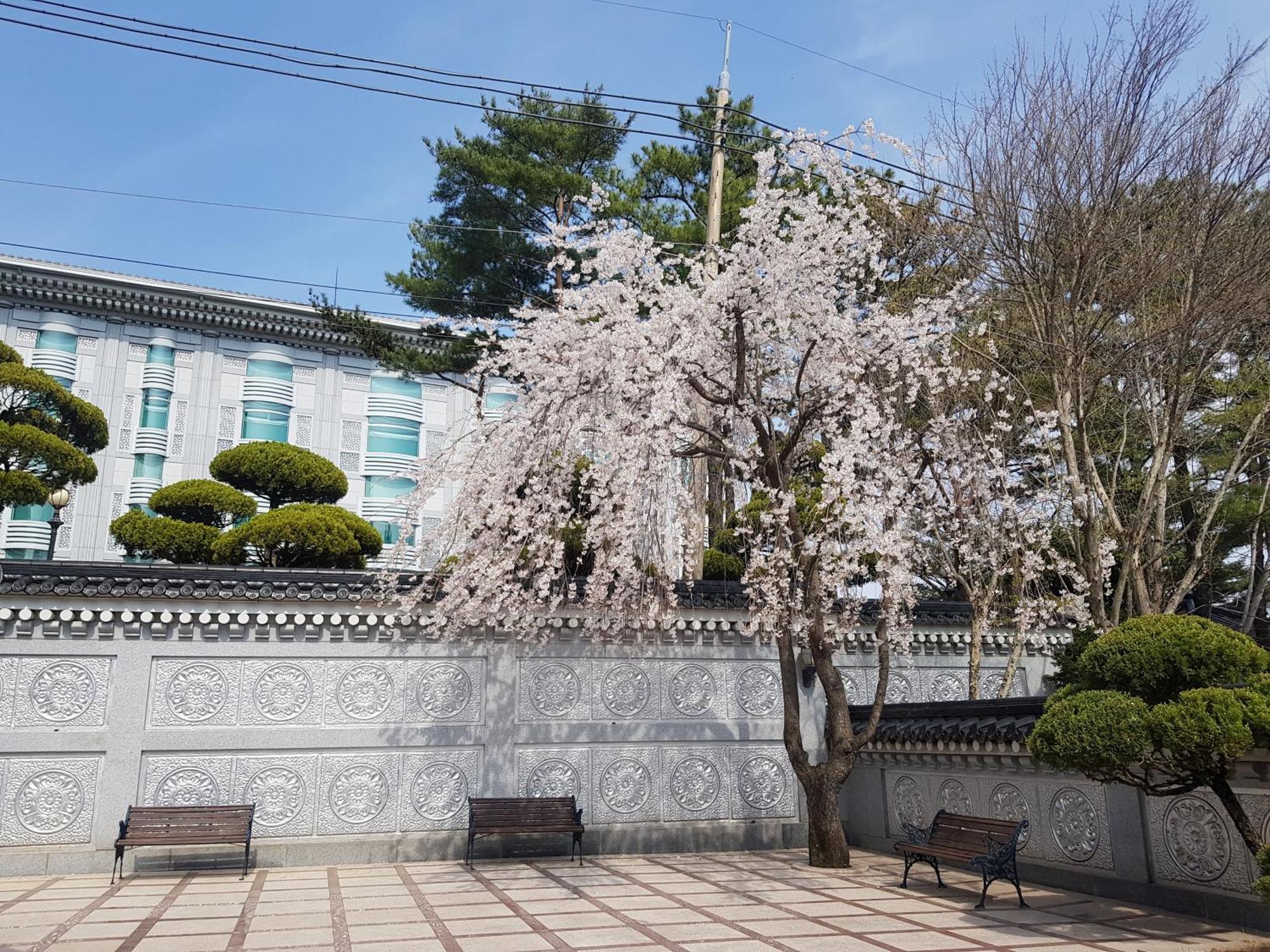 Hotel Gaya Seongju Екстериор снимка